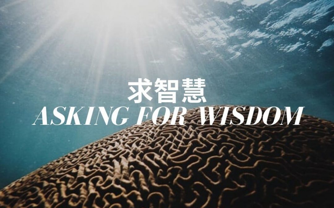 Asking for Wisdom – Aug 15 2021